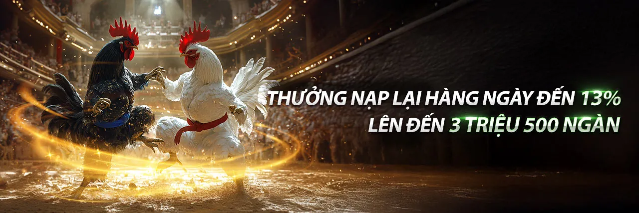 Đá gà con gà đen kịch tính tại Fi88